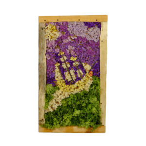 Quadro di muschio stabilizzato - Il veliero