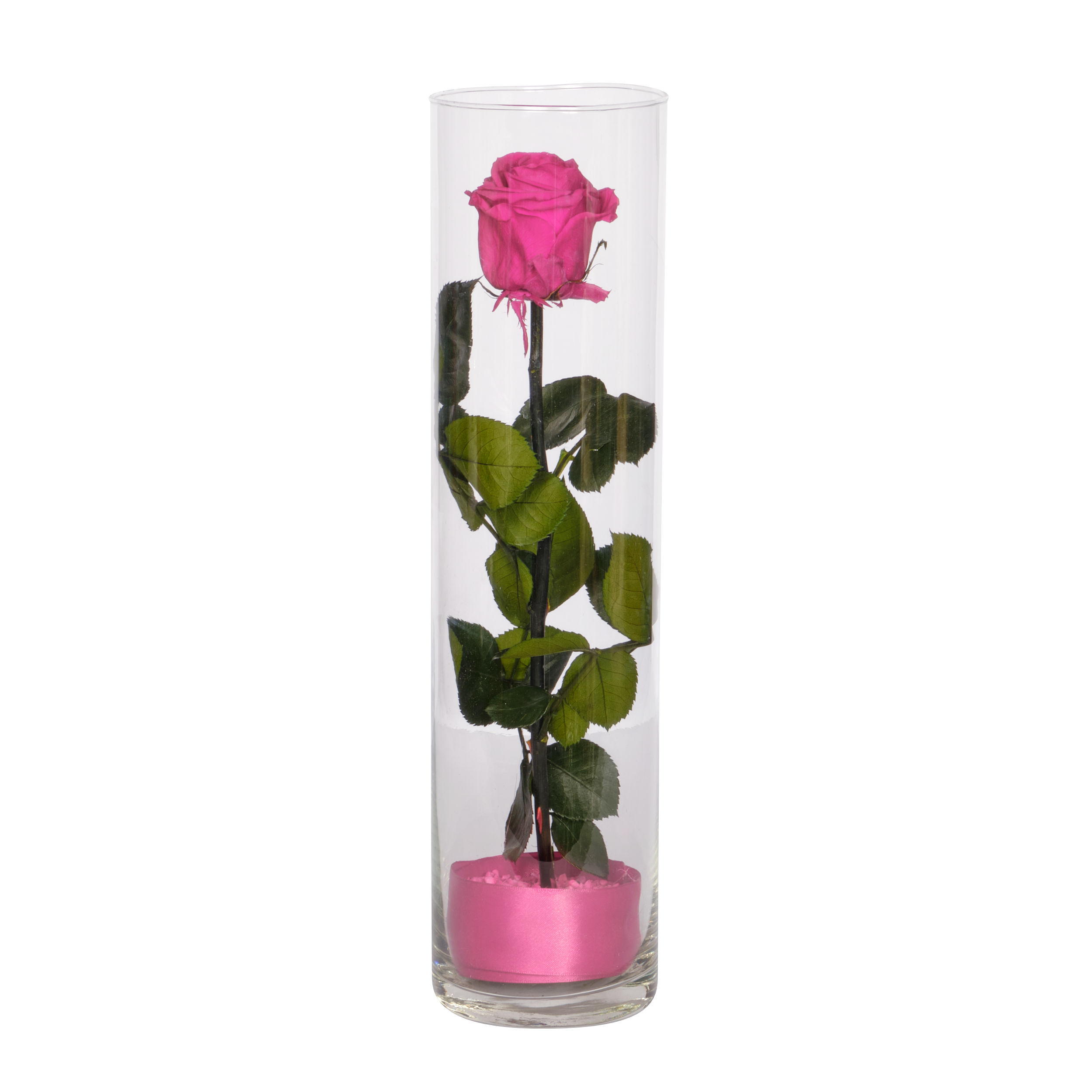 SCFloreal_DSCF4891_rosa